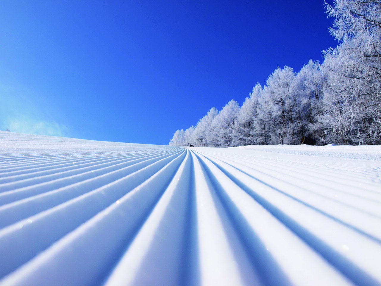 やぶはら高原スキー場